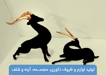 تولید و پخش برادران جوان