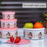 فروش عمده سرویس ظروف نگهدارنده غذا
