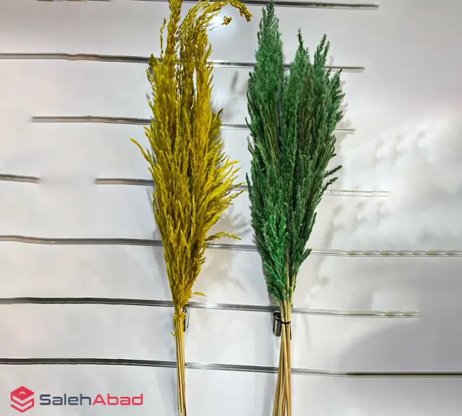 فروش عمده دسته گل پامپاس رنگی