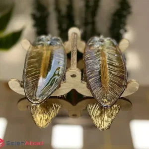 فروش عمده خرما خوری دوتایی برگ پایه دار
