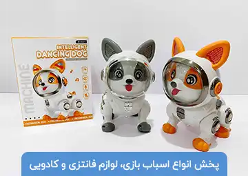 پخش اسباب بازی و لوازم کادویی اسدبیگی