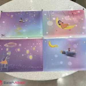 فروش عمده پوشه زیپ دار طرح دختر آسمان