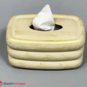 فروش عمده جعبه دستمال کاغذی پلی استری