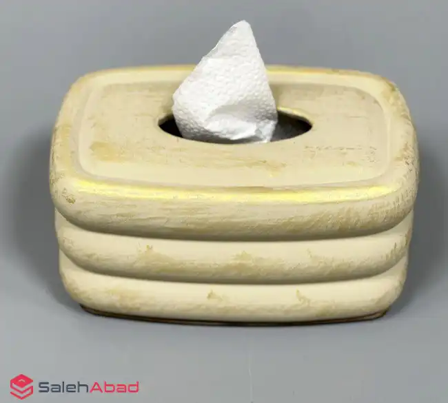 فروش عمده جعبه دستمال کاغذی پلی استری