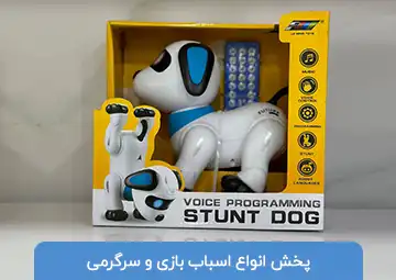 پخش اسباب بازی فسقلی