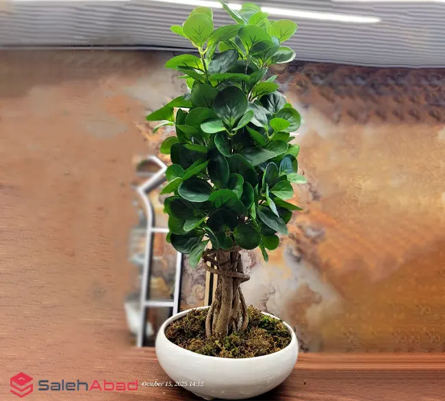 فروش عمده درختچه مصنوعی بونسای قاشقی