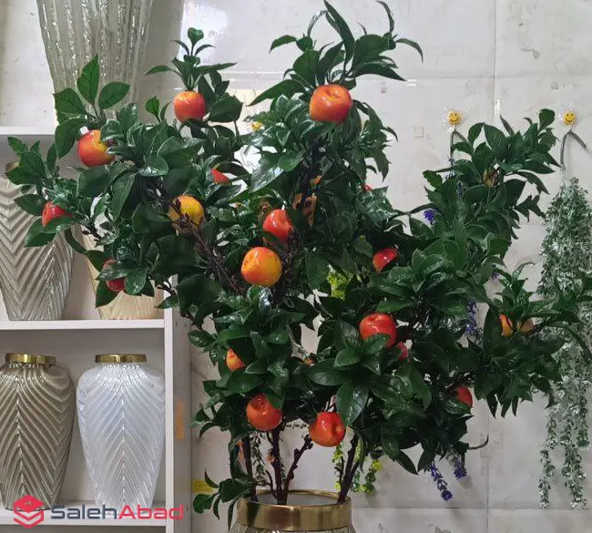 روش عمده شاخه میوه مصنوعی سیب 115 سانتی