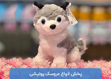پخش عروسک پولیشی رابین تویز